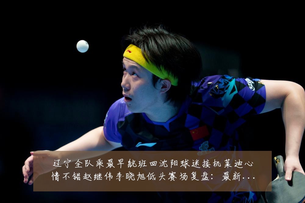 辽宁全队乘最早航班回沈阳球迷接机莱迪心情不错赵继伟李晓旭低头赛场复盘:最新赛事动态与深度分析